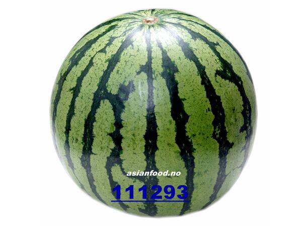 Melons Water Seedless 5pcs 16kg Vannmelon / Dua hau 