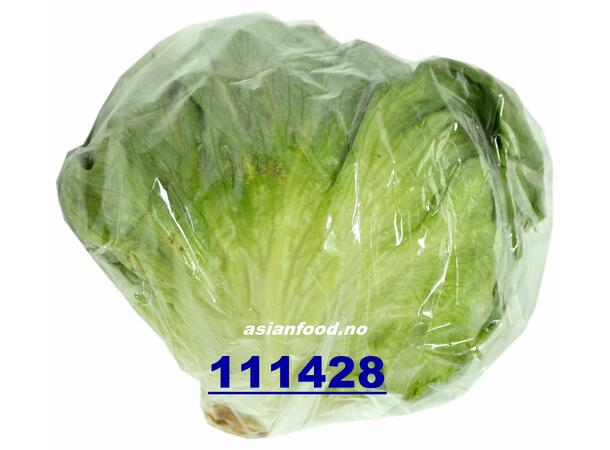 Iceberg Lettuce 5kg Isbergsalat / Bup salat 