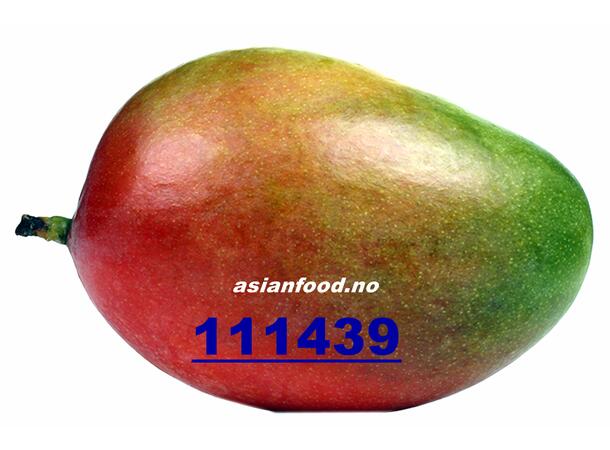 Mango Kent 4kg Mango Kent / Xoai 