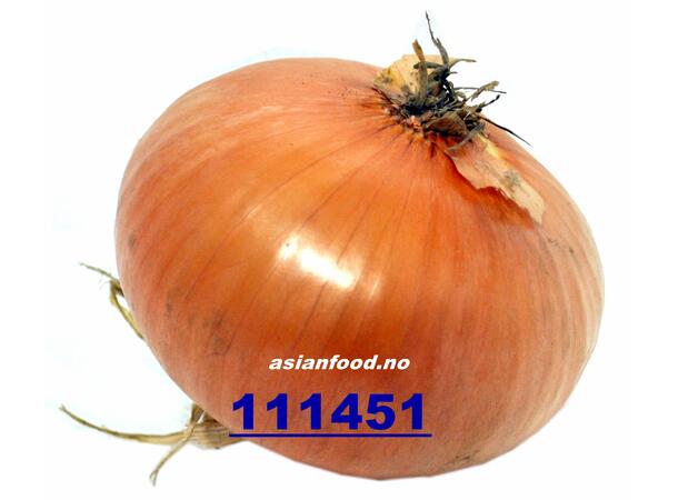 Onions 20kg Løk / Hanh cu 